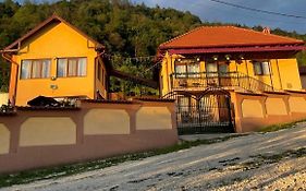 Casa Roșca